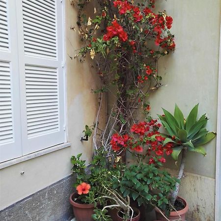 הוילה סירקוזה Aloha House Ortigia מראה חיצוני תמונה