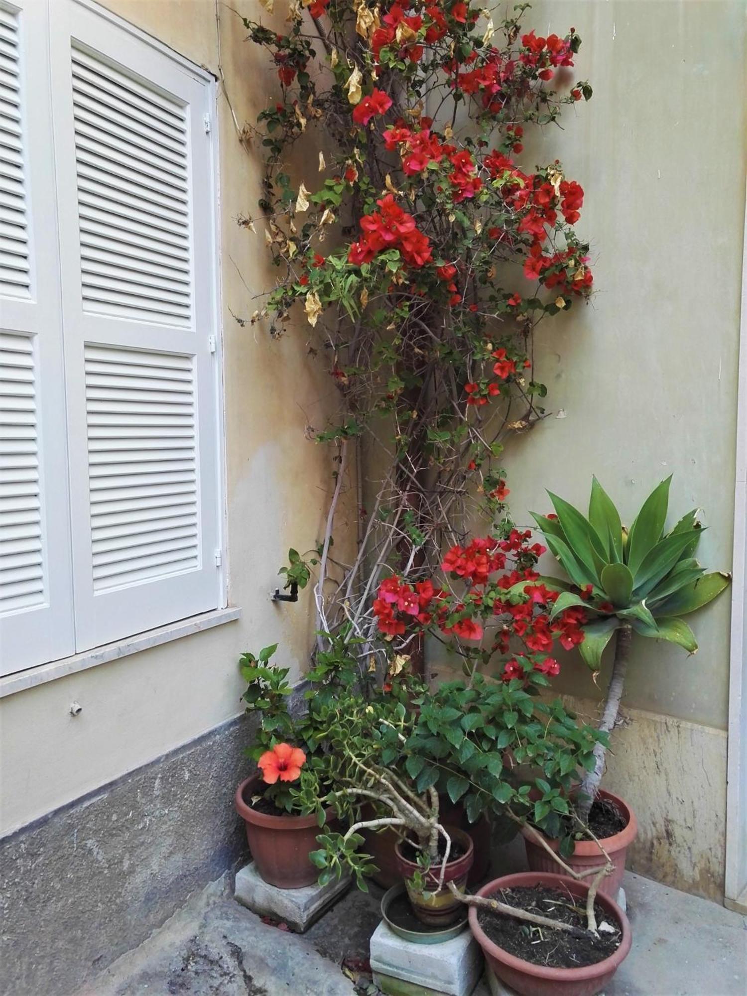 הוילה סירקוזה Aloha House Ortigia מראה חיצוני תמונה
